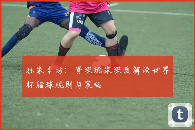 独家专访：资深玩家深度解读世界杯赌球规则与策略
