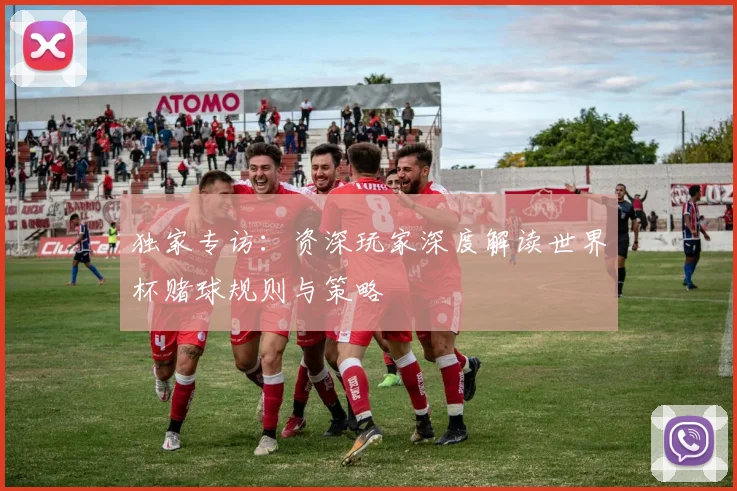 独家专访：资深玩家深度解读世界杯赌球规则与策略
