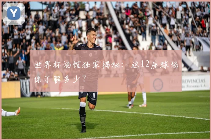 世界杯场馆独家揭秘：这12座球场你了解多少？