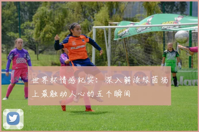世界杯情感纪实：深入解读绿茵场上最触动人心的五个瞬间