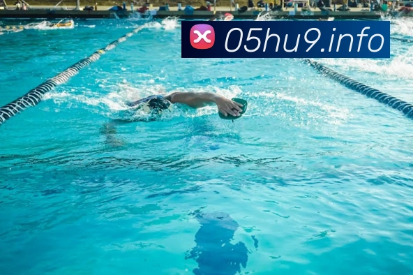 App Interface Preview