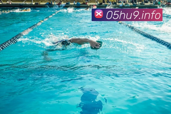 九游体育app官网首页APP 封面图